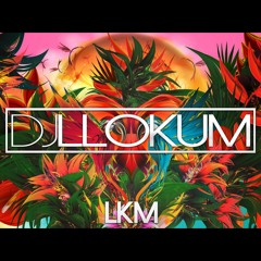 LLOKUM (LKM) - IMPACT HIP HOP DEEP HOUSE (2018 MIXTAPE)