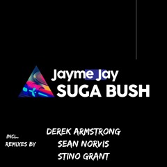 Jayme Jay - Suga Bush (Original Mix)