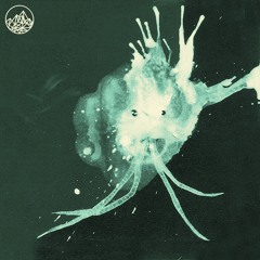 Sigur Rós - 64º08'43.3N 21º55'38.8W (The Mountain Howl Bootleg Remix)