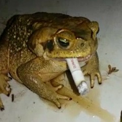 No hope without u- demo