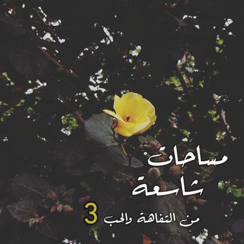 مساحات شاسعة من التفاهة والحب 3 | مزج