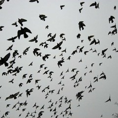 (∩` ﾛ ´)⊃━炎炎炎炎炎