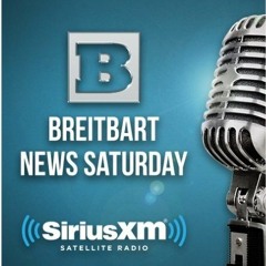 US Ambassador to Germany Richard Grenell on Breitbart News Saturday