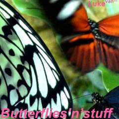 Butterflies'n'stuff