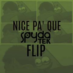 NicePaQue (SpydaT.E.K Flip) v2