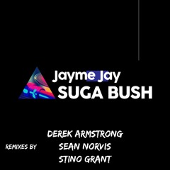 Jayme Jay - Suga Bush (Derek Armstrong Remix)