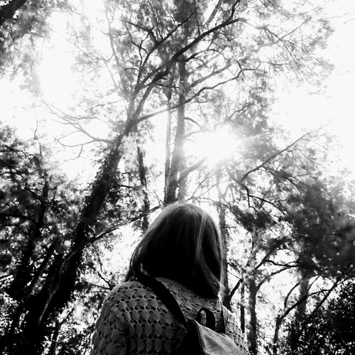 INTERMEZZO - PLATED  PJSD