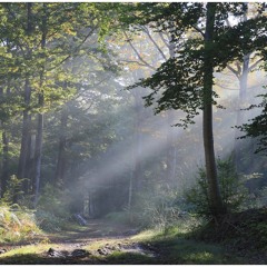 Медитация "Путешествие к себе"