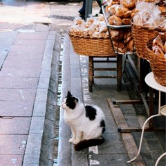 Dalganabak | Kadıköy | Turkish Music