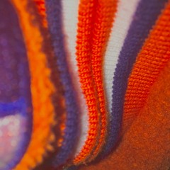 cInNamon (prod.zeeky)