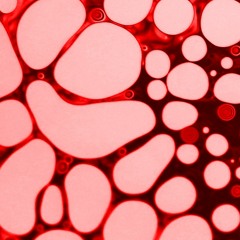 SH-01A random LFO wave form experimental acid session 2