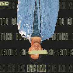 VYLW - Letting Go (Kyros Remix)