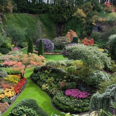 Garden Of Soft Light