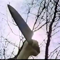 the color of the room