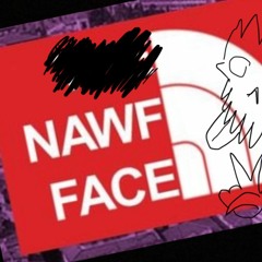 FONZOxSANYE Nawf Face