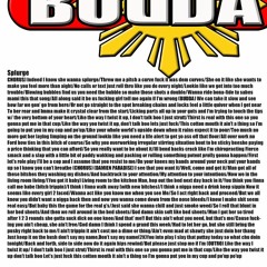 9 Splurge Damien Paradise