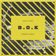 ICE - who can stop me (everyone diss ) #KBeaZyCHALLENGE #KBeaZyCHALLENGE  #WaveGang  #BARS  #lit via the Rapchat app (prod. by B.O.K)