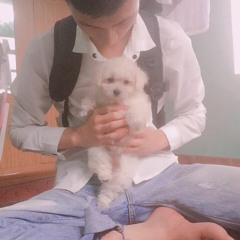NST - Cũng Bởi Vì Phê - Vượng Còi