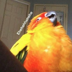 What It Means To Be Defeated [Vocal Cover]