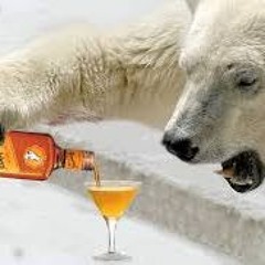BI-POLAR-BEAR MIXTAPE