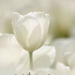 حكايه    ذات          رودينا ياسين