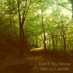 Don't You Know (feat. Juliah)