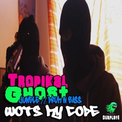 Tropikal Ghost - Wots My Code ? Feat. Eek A Mouse