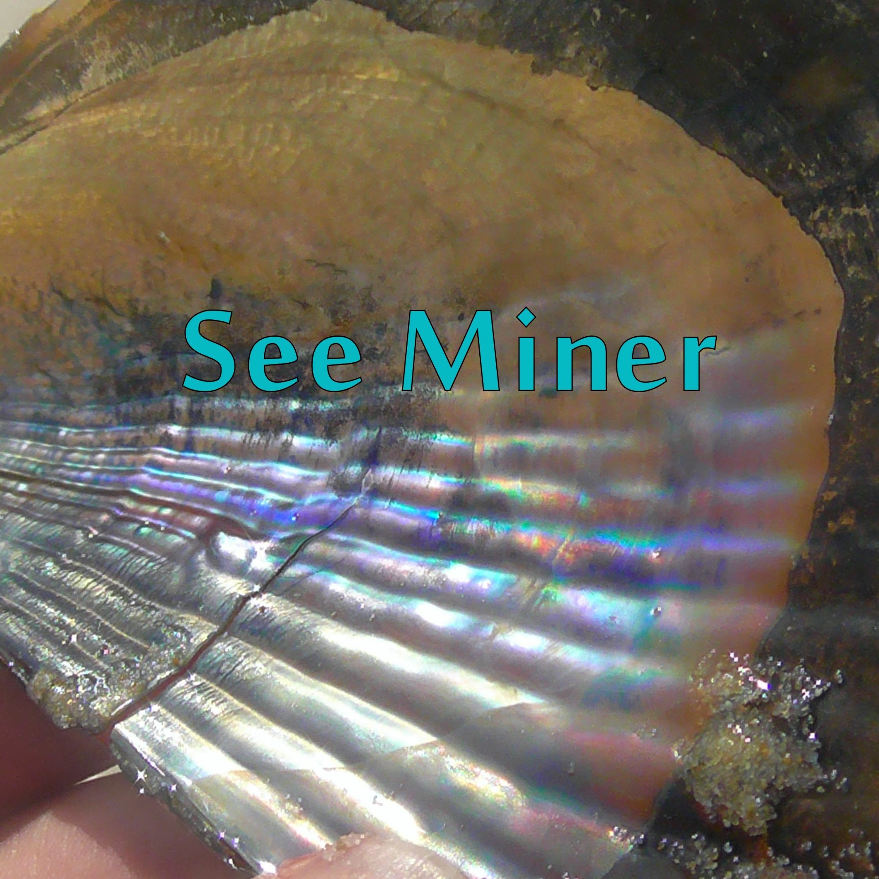 See Miner Remix episode artwork