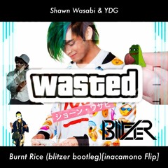 Shawn Wasabi & YDG - Burnt Rice (blitzer Bootleg)[inacamono Flip]