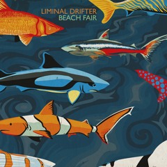 Liminal Drifter - Beach Fair