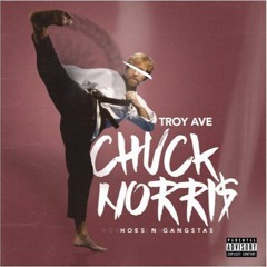 TROY AVE - CHUCK NORRIS - REMIX -  FREESTYLE - 2018