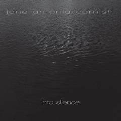 Into Silence I