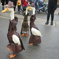 POMMIT TIPPUU FT. POMMIPEE