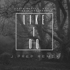 Like I Do J.Prep Remix