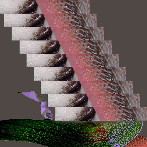 Passive Aggressive (Feroce)