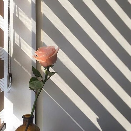 Stream CHARLI XCX WHITE ROSES (CHILLCORE VERSION) by P S Listen