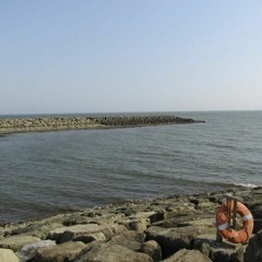 Ocean Song