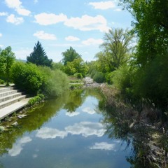 Reflections on the Creek