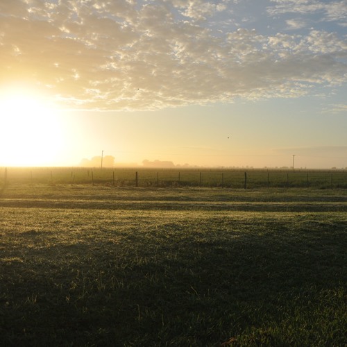 Countryside Sun