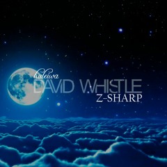 David Whistle x Z-SHARP - Haleiwa (Original Mix)