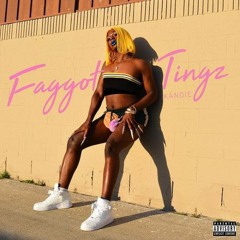 kandie - #ChunLi And #FaggotTingz Mash - Up