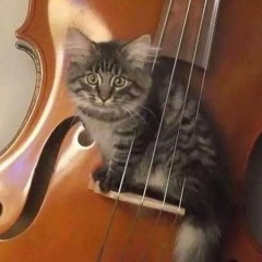 Dope Orchestra Music
