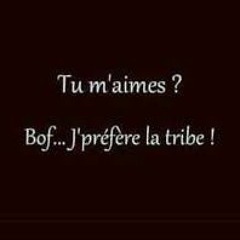 new set#tribe#narcitekk#