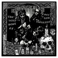 TARANTÜLA - SEED THE STARS