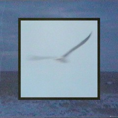 Whirl