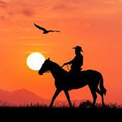 House Of The Rising Sun Cover