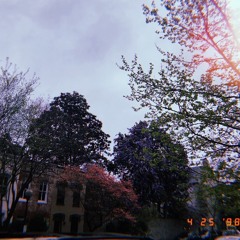 "Bygones" by Marina Keegan (poetry reading)