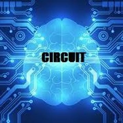 CIRCUIT(Paul Racle & Alfonso LLorente) (Collab)