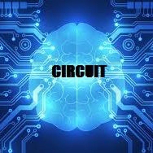 CIRCUIT(Paul Racle & Alfonso LLorente) (Collab)