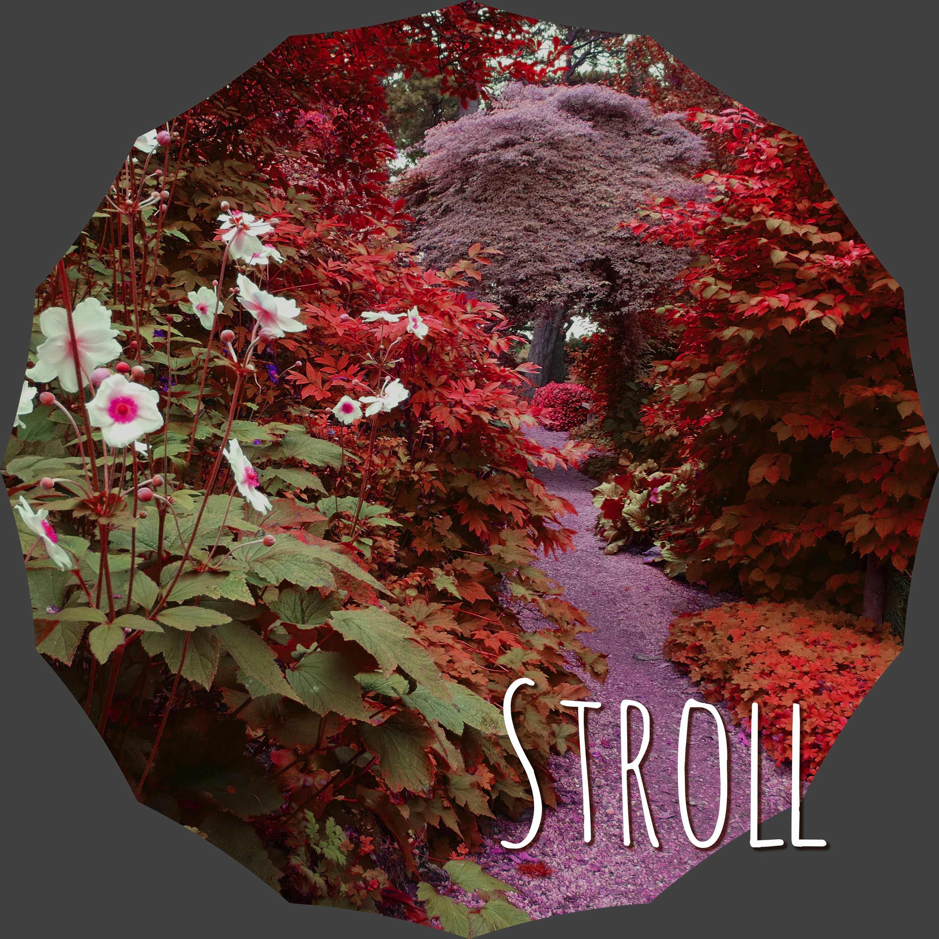 Stroll episode artwork